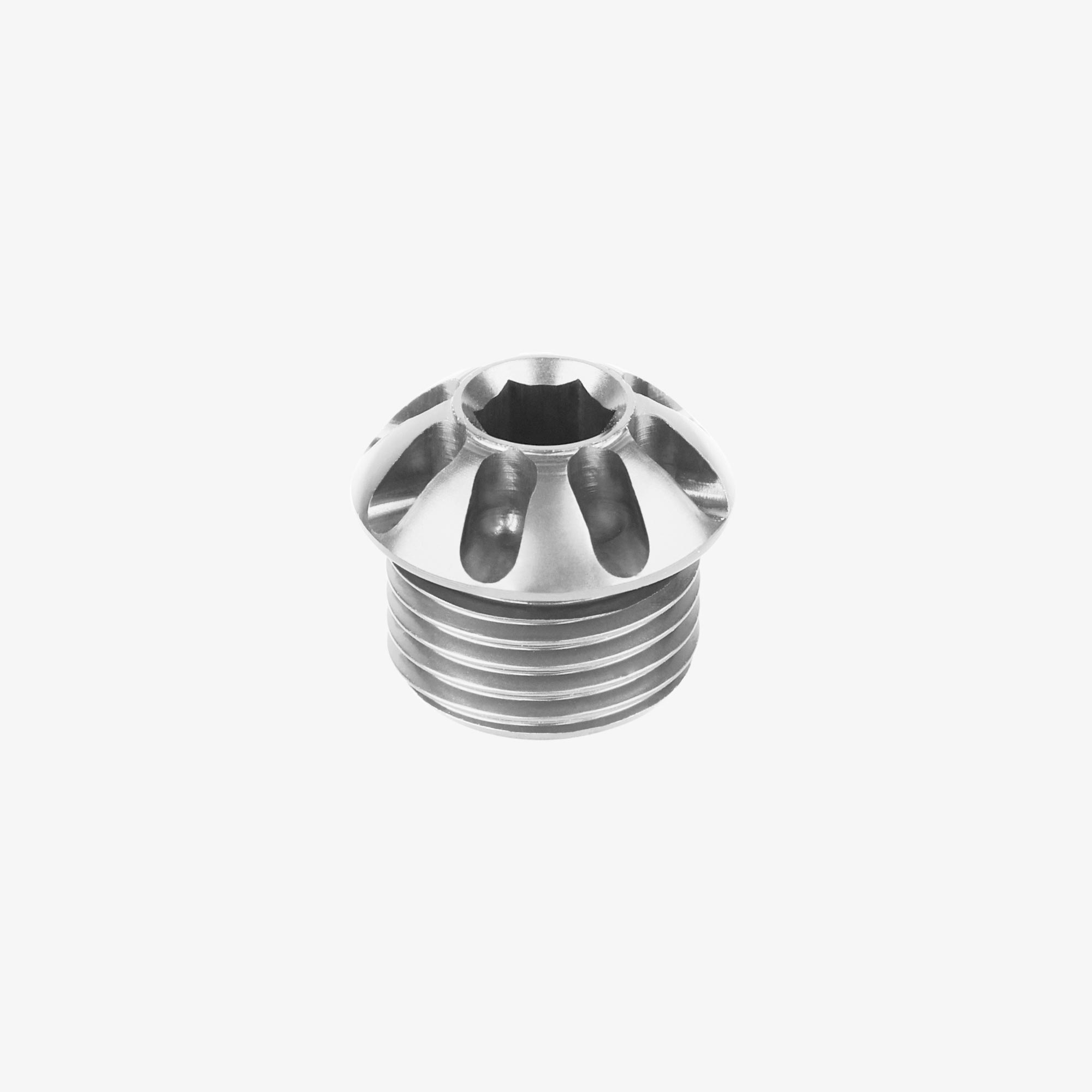 Foot peg cap - SILVER